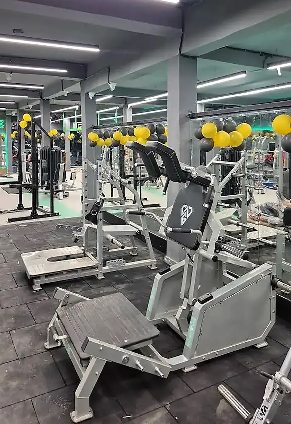 Plate-loaded strength machines and leg press section